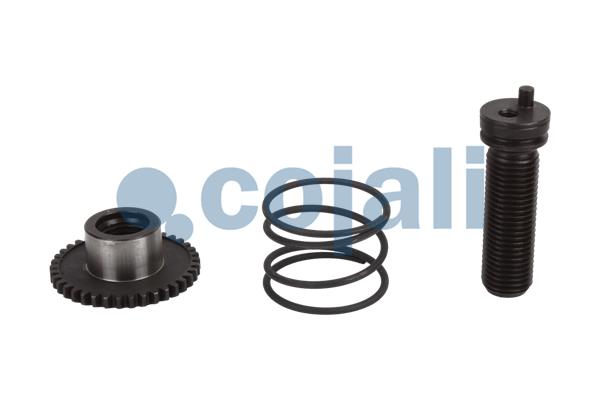 Remklauw revisie Cojali 6086082