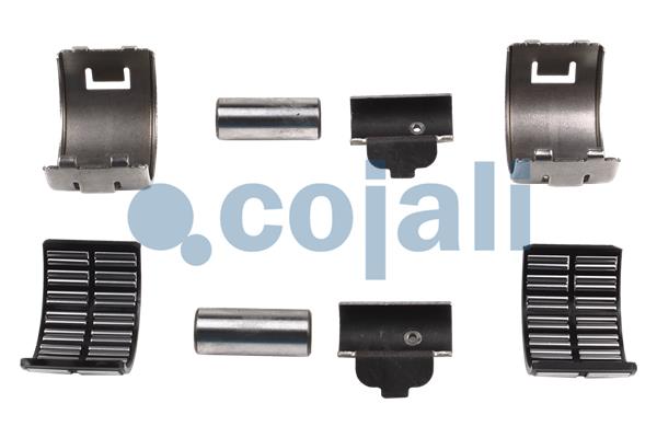 Remklauw revisie Cojali 6086083