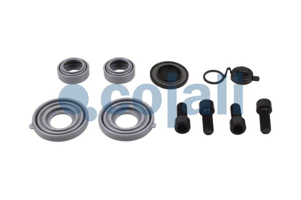 Remklauw revisie Cojali 6086090