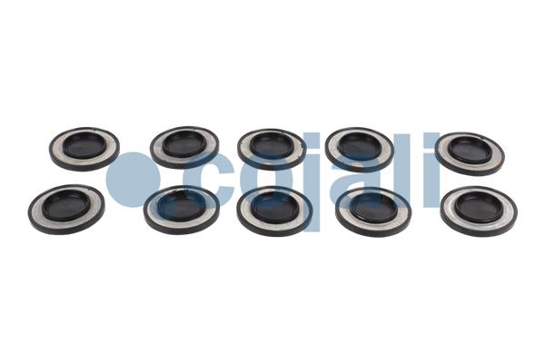 Remklauw revisie Cojali 6086097