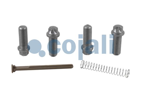 Remklauw revisie Cojali 6086098