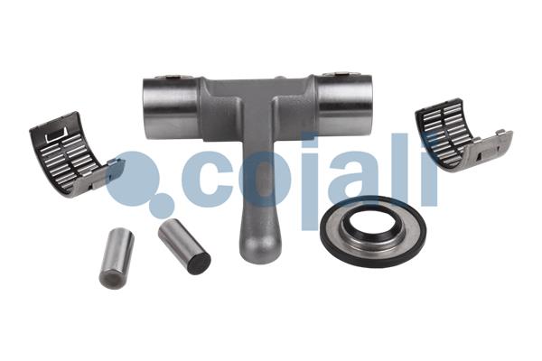 Remklauw revisie Cojali 6086112