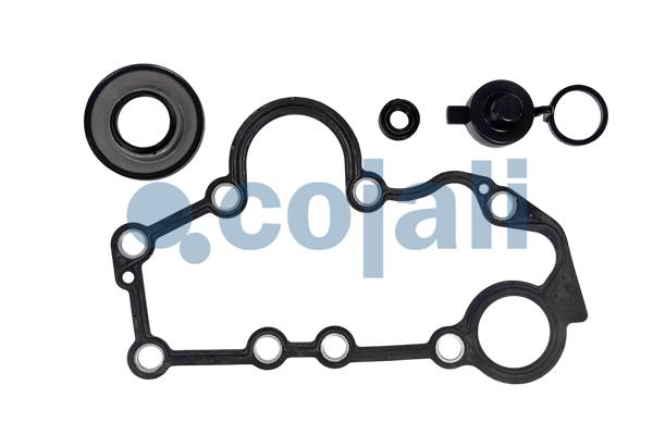 Remklauw revisie Cojali 6086144