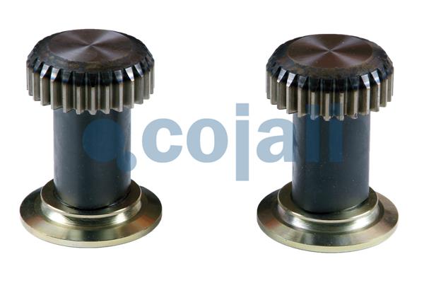 Remklauw revisie Cojali 6086505