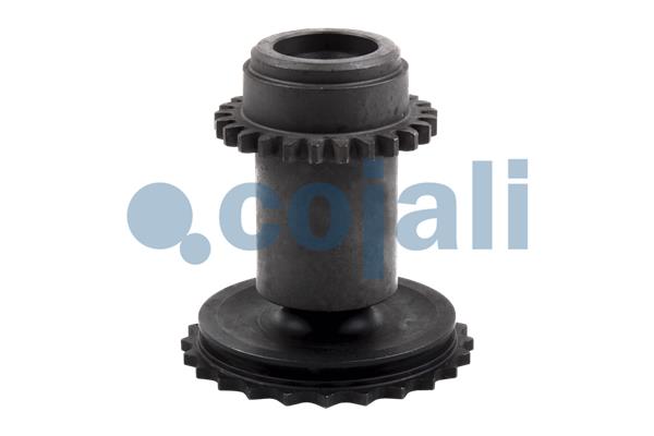 Remklauw revisie Cojali 6086507