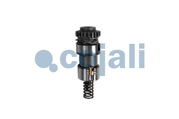 Remklauw revisie Cojali 6086519