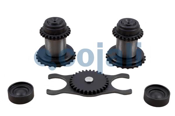 Remklauw revisie Cojali 6086526