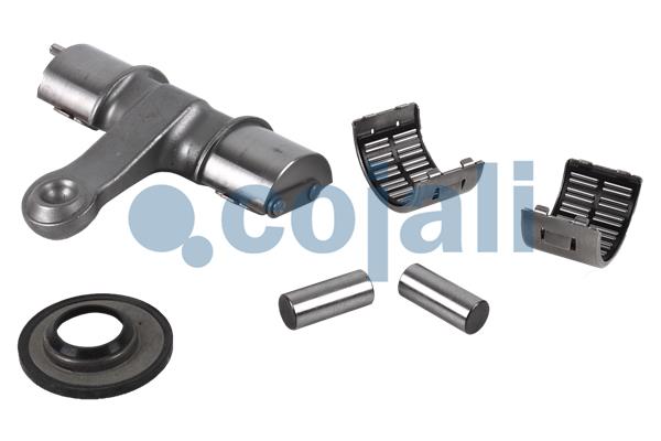 Remklauw revisie Cojali 6086549