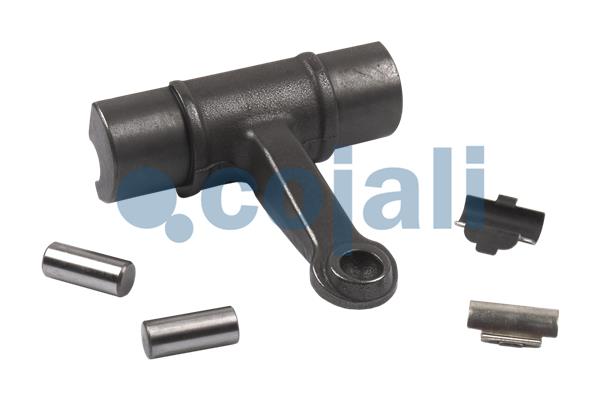 Remklauw revisie Cojali 6086560