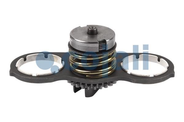 Remklauw revisie Cojali 6086561