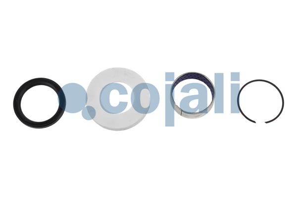 Remklauw revisie Cojali 6086571