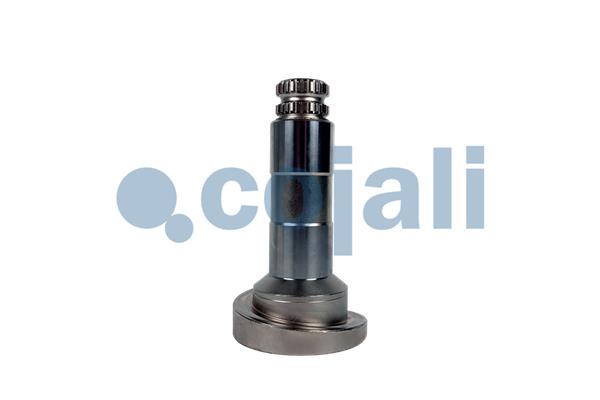 Remklauw revisie Cojali 6086577