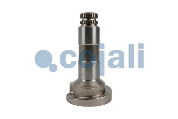 Remklauw revisie Cojali 6086578