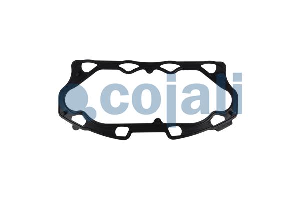 Remklauw revisie Cojali 6086584