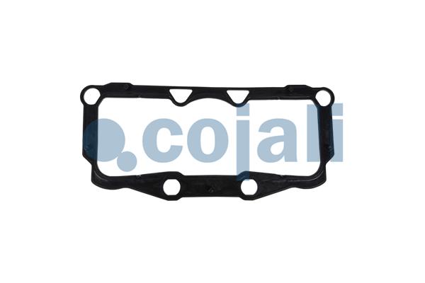 Remklauw revisie Cojali 6086585