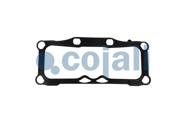 Remklauw revisie Cojali 6086586