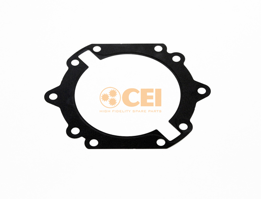 Versnellingsbakas dichtingsring C.E.I. 139.987