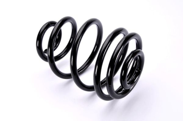 Chassisveer Magnum Technology SX124MT