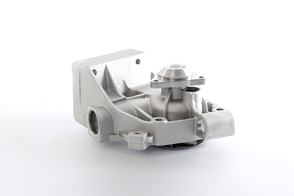 Waterpomp BSG BSG 25-500-009