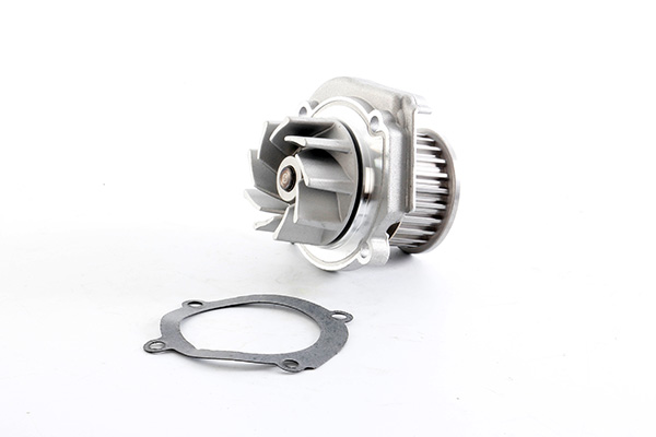 Waterpomp BSG BSG 25-500-011