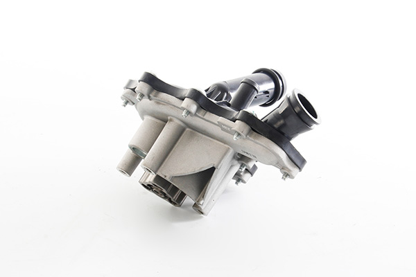 Waterpomp BSG BSG 25-500-013