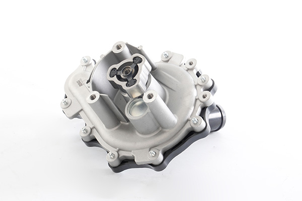 Waterpomp BSG BSG 30-500-022