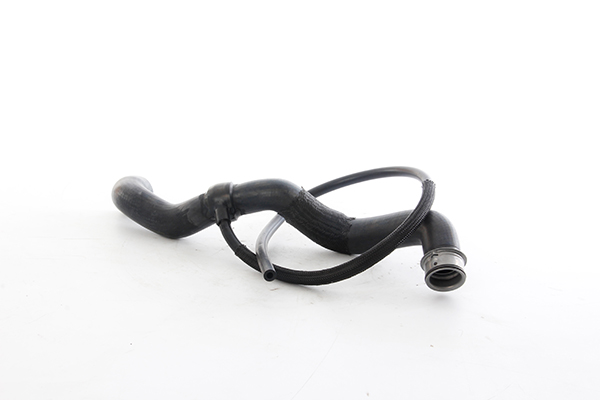 Radiateurslang BSG BSG 60-720-262