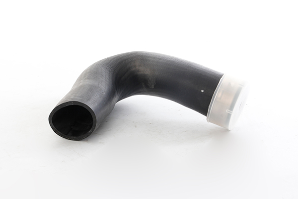 Laadlucht-/turboslang BSG BSG 60-720-265