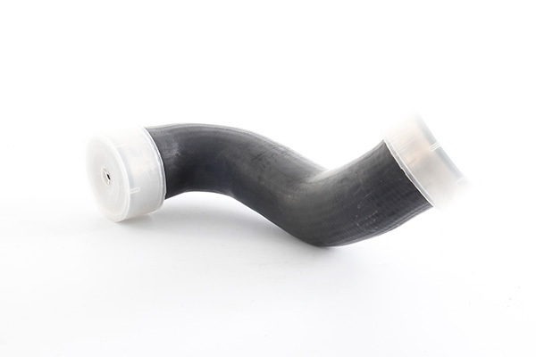 Laadlucht-/turboslang BSG BSG 60-720-309