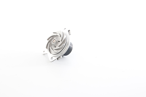 Waterpomp BSG BSG 65-500-018