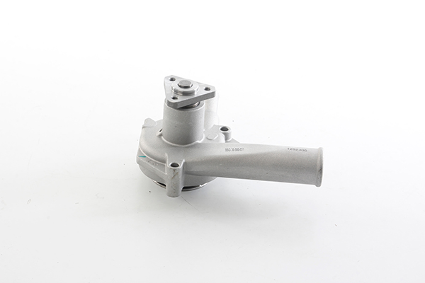 Waterpomp BSG BSG 30-500-031