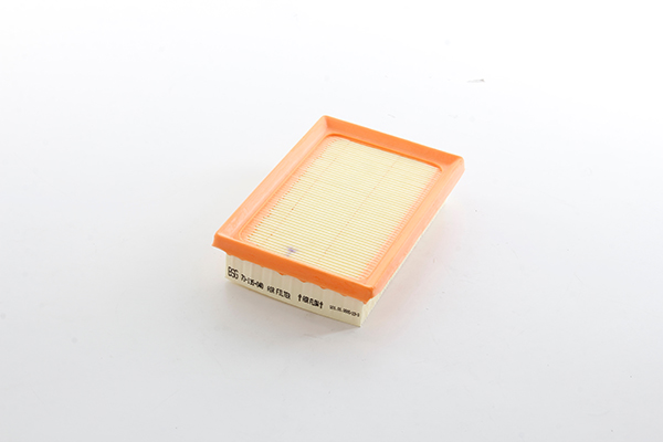 Luchtfilter BSG BSG 70-135-040