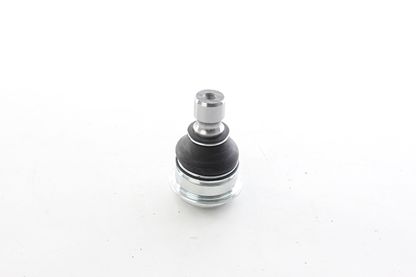 Fuseekogel BSG BSG 63-310-003