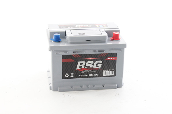 Accu BSG BSG 99-997-007