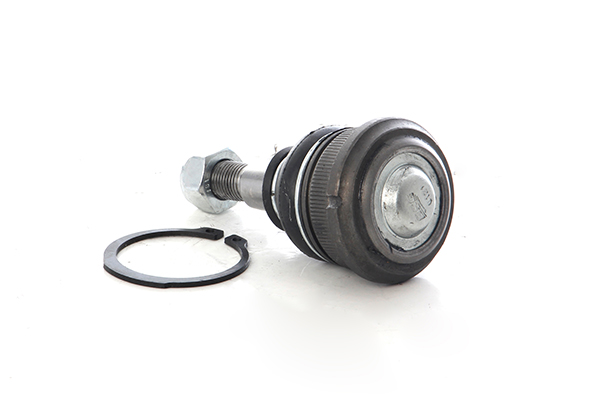 Fuseekogel BSG BSG 40-310-173