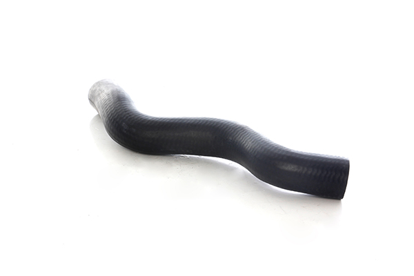 Radiateurslang BSG BSG 75-720-118