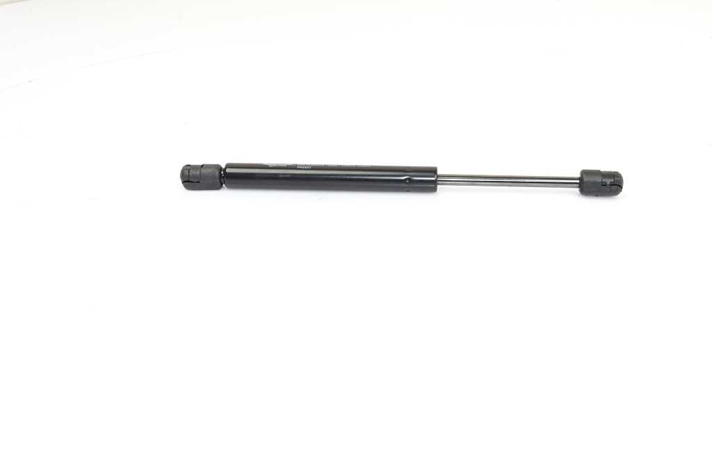 Gasveer, motorkap BSG BSG 15-980-017