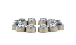 Klepsteeldichting BSG BSG 30-116-101