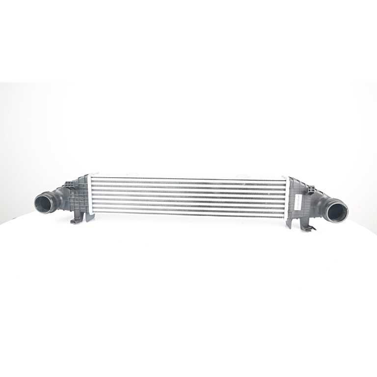 Interkoeler BSG BSG 60-535-008