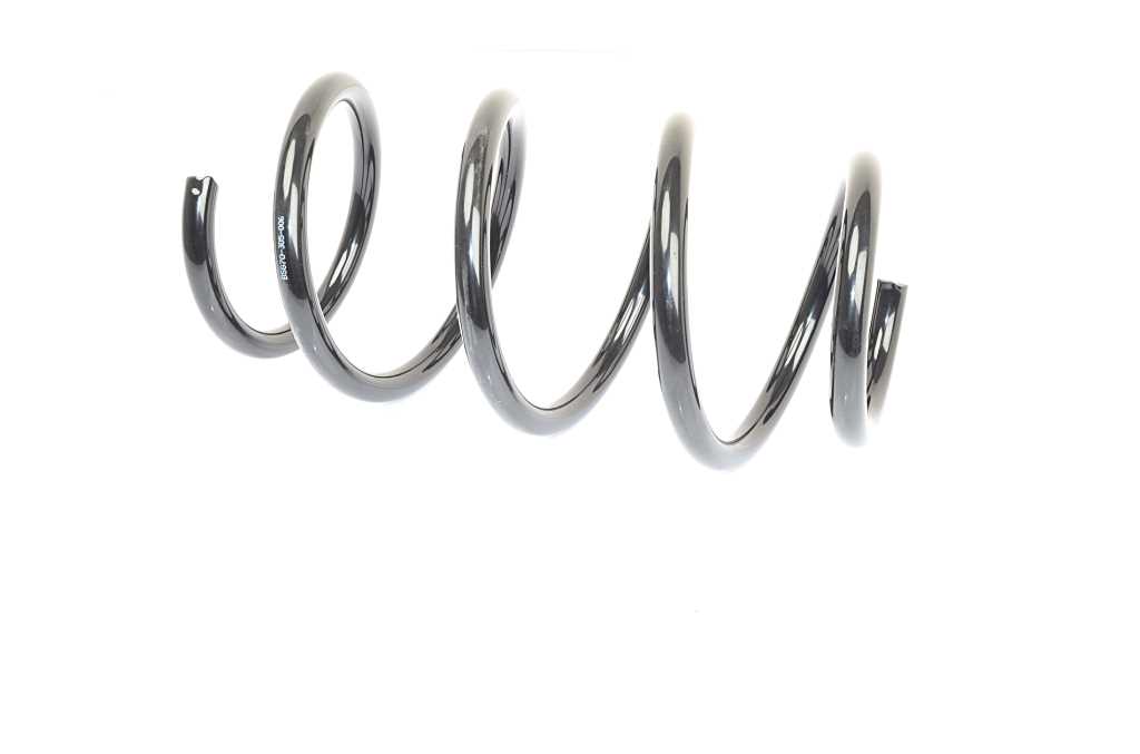 Veer BSG BSG 70-305-006