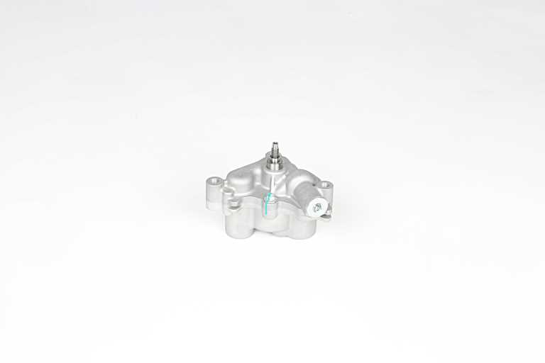 Oliepomp BSG BSG 75-101-002