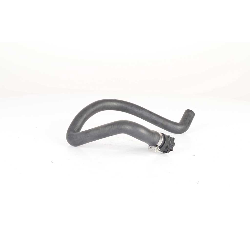 Radiateurslang BSG BSG 90-720-173