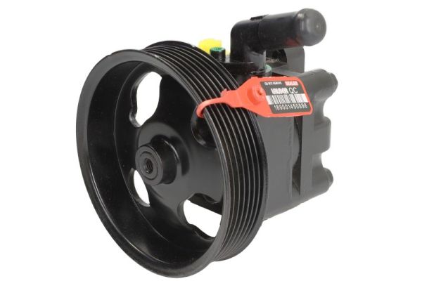 Servo pomp Lauber 55.9947