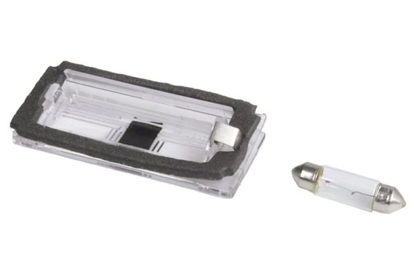 Kentekenlamp Blic 5402-003-07-905