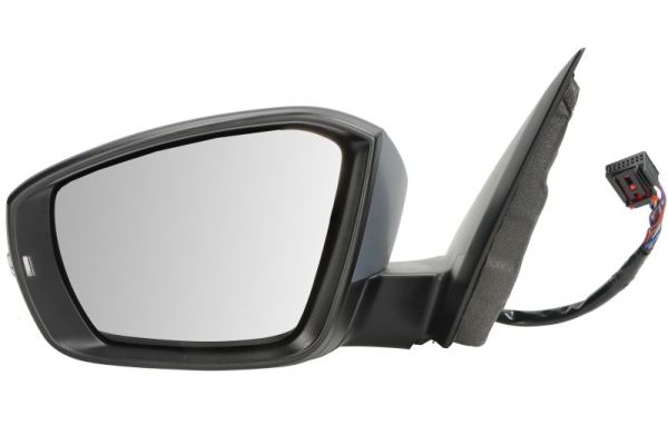 Buitenspiegel Blic 5402-01-2339314P