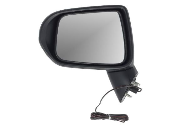 Buitenspiegel Blic 5402-04-1191925P