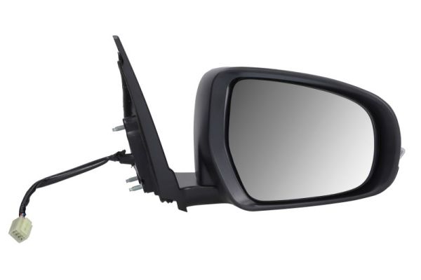 Buitenspiegel Blic 5402-18-1384321P