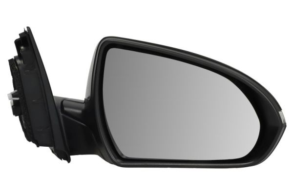 Buitenspiegel Blic 5402-20-1966315P