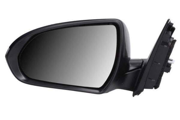 Buitenspiegel Blic 5402-20-1966316P