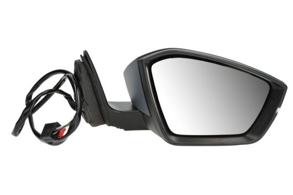 Buitenspiegel Blic 5402-43-1319311P